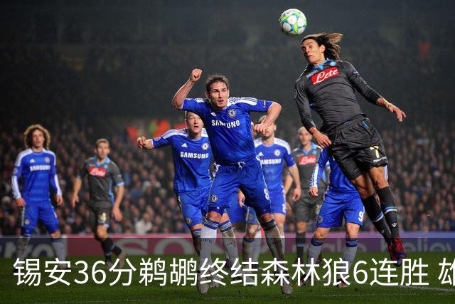 锡安36分鹈鹕终结森林狼6连胜 雄鹿险胜公牛